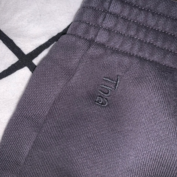 Aritzia sweat-shorts in echo gray - Picture 4 of 5